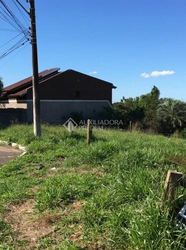 Imagem 4 de 9 de Terreno - Santa Isabel - Ref: 326794 - V-326794