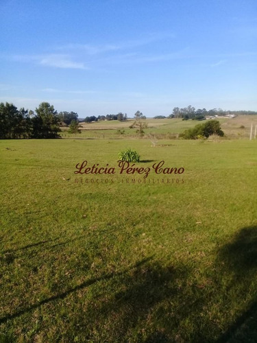 Imagen 10 de 17 de Venta Chacra De 5 Hectáreas Camino Los Ceibos
