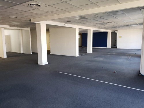 Imagen 15 de 30 de Oficinas En Alquiler En Plaza Roma