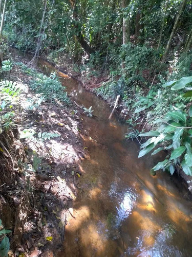 Imagem 2 de 14 de Juquiá/belo Terreno C/riacho/pasto/ref: 05033
