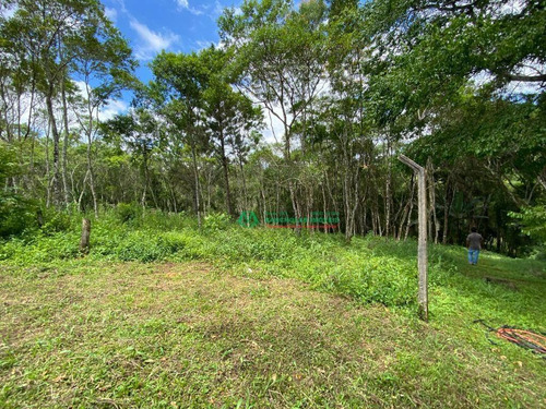 Chácara Com 2 Dormitórios À Venda, 29162 M² Por R$ 365.000,00 - Bairro Da Capelinha - Cotia/sp - Ch0157