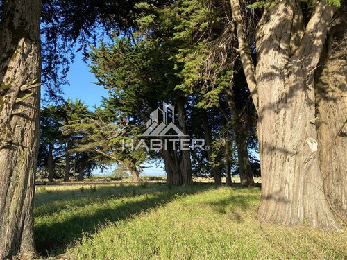 Imagen 26 de 30 de Sitio 5.000m2 Oferta Orilla Rio Navegable En Venta En Toltén