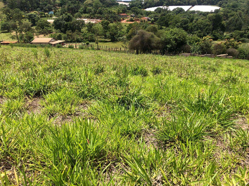 Br Aproveite E Pague Seu Terreno Em 4 Anos
