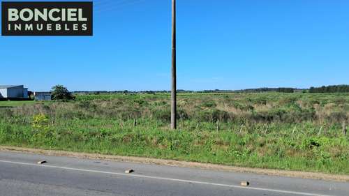 Muy Buen Terreno Logístico Ruta 5 K32 En Plena Rotonda