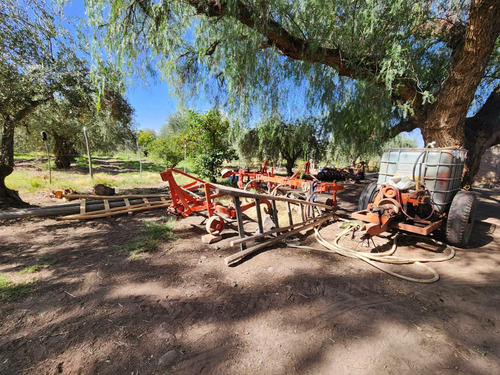 Finca Con Olvios En Polo Gastronómico Chachingo Calle Sarmiento S/n