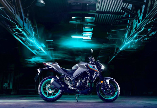 Imagen 12 de 25 de Motocicleta - Yamaha - Mt-03 A