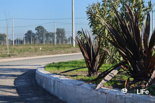 Imagen 12 de 15 de Lote De 300m2 - Venta - Barrio Abierto Residencial - Alvear