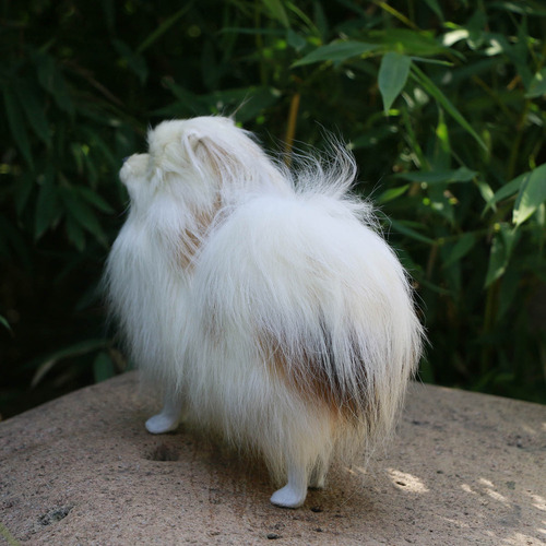 // Simulação, Modelo De Cão Da Pomerânia, Brinquedos De