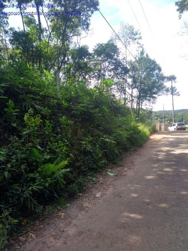 Imagem 9 de 9 de Terreno - Te00046 - 69207640