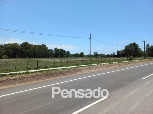 Imagen 8 de 18 de En Venta 1 Hectarea Con Servicios