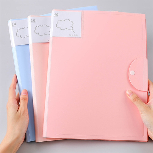 Documentos Em Papel, Bolsa De Documentos Escolares, Organiza
