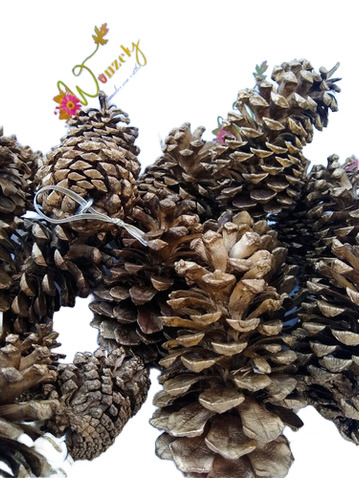50 Piñas Navideñas De Pino Doradas Con Armella Para Árbol !