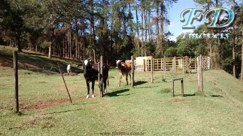 Imagem 14 de 29 de Sítios À Venda Em Nazare Paulista/sp - Compre O Seu Sítios Aqui! - 1322572