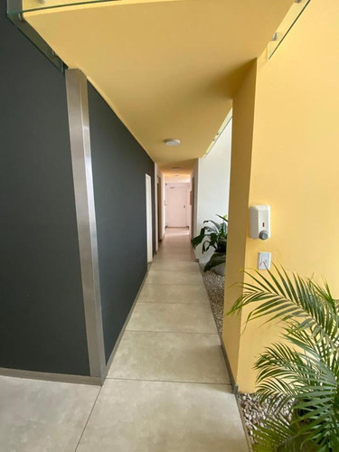 Imagen 4 de 18 de Departamento - Lomas De Zamora Oeste
