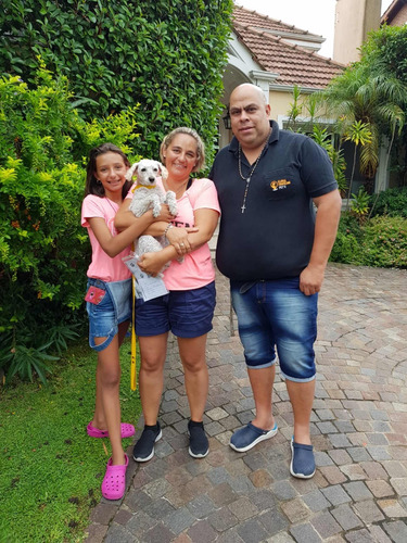 Remis Para Mascotas Con Su Dueño - Viaje Con Mascotas