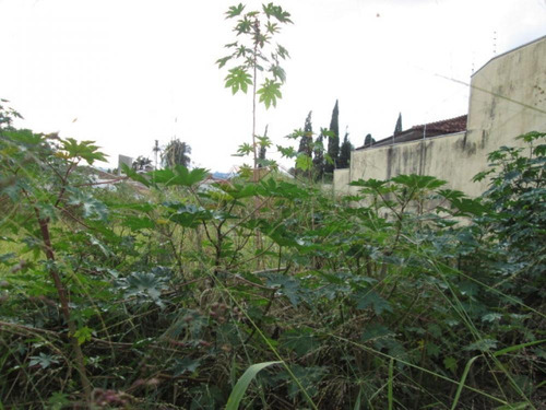 Terrenos - Ref: V3209