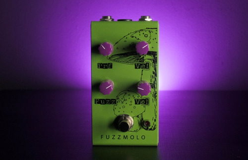 Pedal De Fuzzmolo Amanita Wintter Labs
