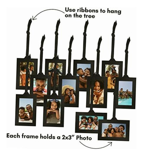 Americanflat Árbol Genealógico De Bronce Con 12 Marcos De