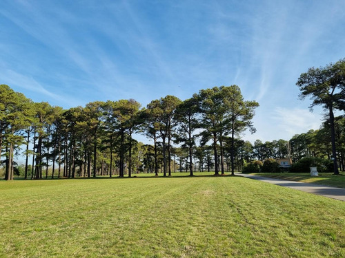Imagen 2 de 30 de Terreno - Los Pinares C. Club