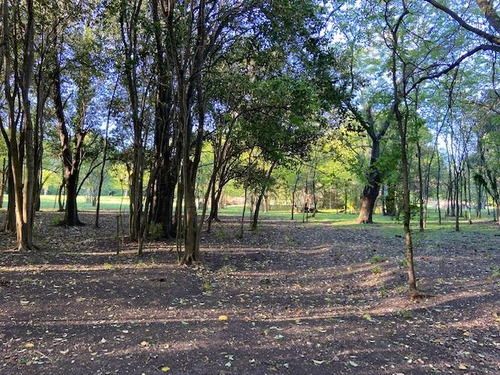 Terreno Entre Caminos . Zona Parque Ecológico