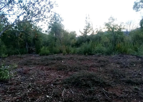 En Venta Parcela De Agrado La Placeta Molina Maule