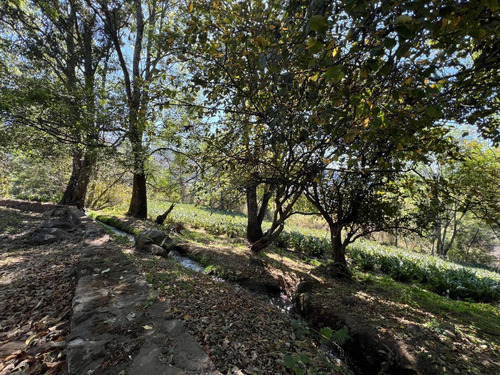 Terreno El Acueducto