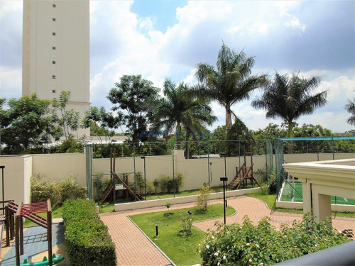 Imagem 3 de 30 de Apartamento À Venda Em Vila Brandina - Ap199170