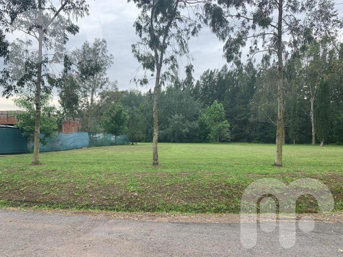 Imagen 5 de 10 de Venta Terreno - Club Miralagos