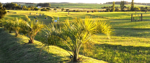 Imagen 5 de 5 de Eventos En El Parque De Fútbolgolf