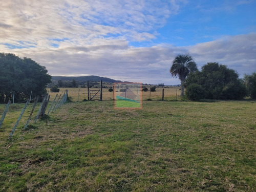Imagen 14 de 26 de Campo De 34 Hás Con Casa Ruta 12 Pueblo Edén