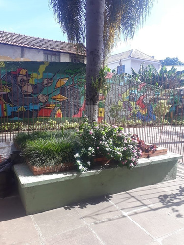 Apartamentos - Floresta - Ref: 21742 - V-719816