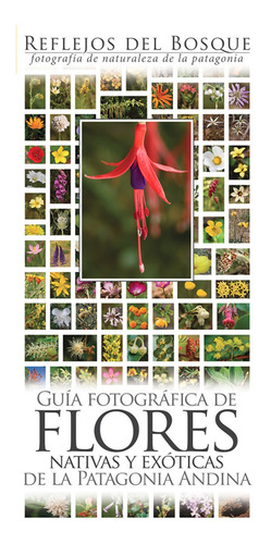 Colección Entera 9 Guías Fotog. De Naturaleza De La Patag.