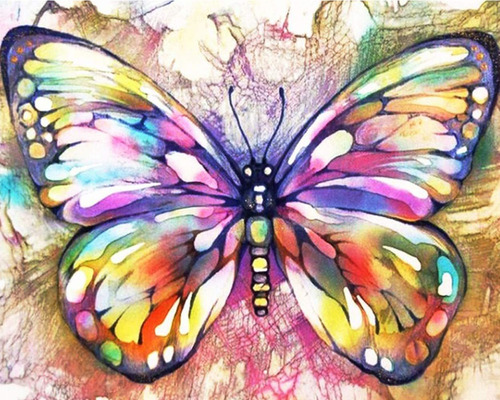 Mariposa Magnífica Pintura Por Números Para Adultos F...