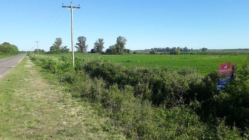 Imagen 16 de 16 de Antelo, Campo De 29 Has Sobre Asfalto, Sistematizado, Con Arroyo