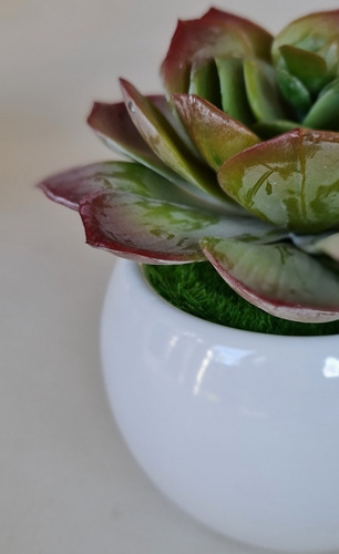 Variedad Suculenta Artificial Con Maceta Mini De Cerámica