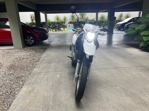 Honda Xr 250 Tornado 2023