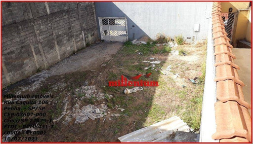 Imagem 8 de 11 de Terreno Para Alugar, 223 M² Por R$ 1.500,00/mês - Parque Boturussu - São Paulo/sp - Te0001