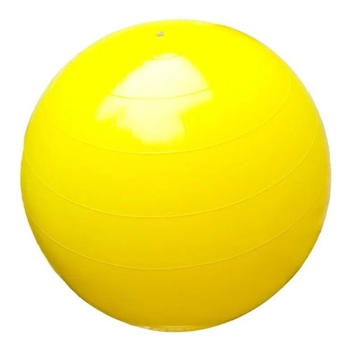 Pelota Pilates Esferodinamia Medicinal 85 Cm Gym Reforzada