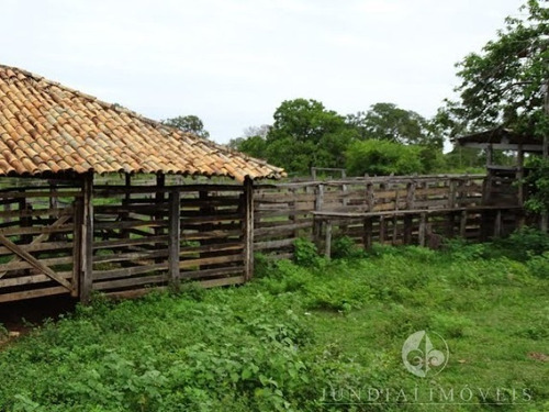 Imagem 15 de 30 de Vendo Ótima Fazenda Com 2337,00 Ha Em Buritizeiro, Norte De Minas Gerais, Gado E Cultura, Muita Água, Toda Formada. Documentação Ok. - Fa00004 - 4483814