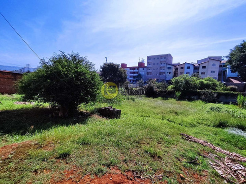 Imagem 12 de 19 de Área, Alto Ipiranga, Mogi Das Cruzes - R$ 5 Mi, Cod: 152001 - V152001