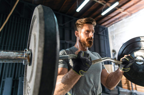 Harbinger Flexfit Non-wristwrap Weightlifting Gloves With Fl
