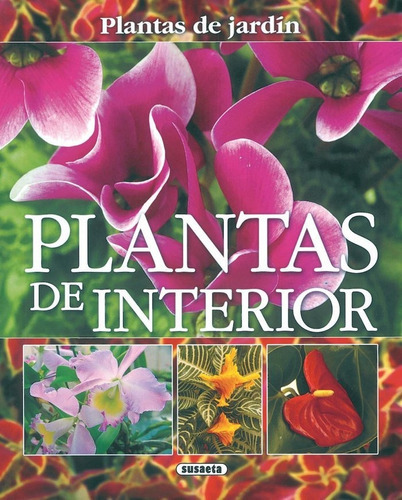 Plantas De Interior, De Alonso De La Paz, Francisco Javier. Editorial Susaeta, Tapa Blanda En Español