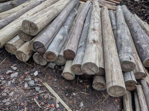 Postes/tirantesfinos 7/9cm Impregnado 4mts