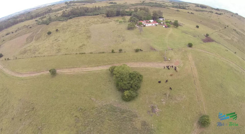 Muy Buen Campo Mixto Ganadero-forestal De 690 Has Y Bien Ubicado