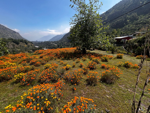 Casa En Parcela 3 Dorm, 2 Baños, Orilla Rio (71925)