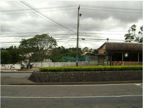 Imagem 2 de 8 de Terreno À Venda, 651 M² - Mercês - Curitiba/pr - Te0212