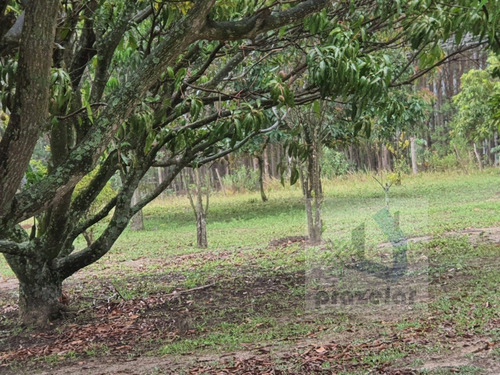 Imagem 19 de 24 de *** Chácara Com 03 Dormitórios Em Mairinque ***
