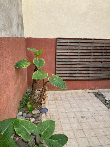 Imagen 13 de 14 de Dpto En Planta Baja 2 Y Medio Amb Con Patio - Zona Bares