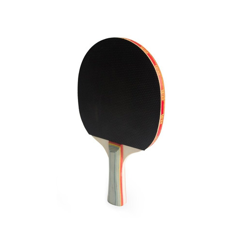 Imagen 8 de 9 de Set Ping Pong 2 Paletas+3 Pelotas+red Profesional+estuche