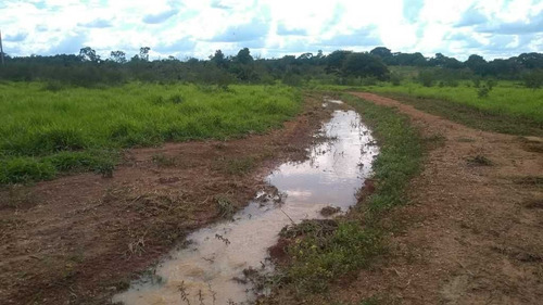 Fazenda De Gado E Graõ Com 455 Hectares Curvelo - 36426